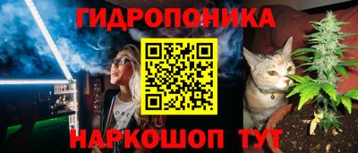 стафф Кимры