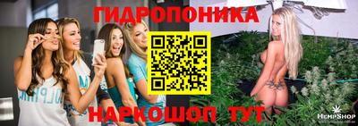 стафф Кимры