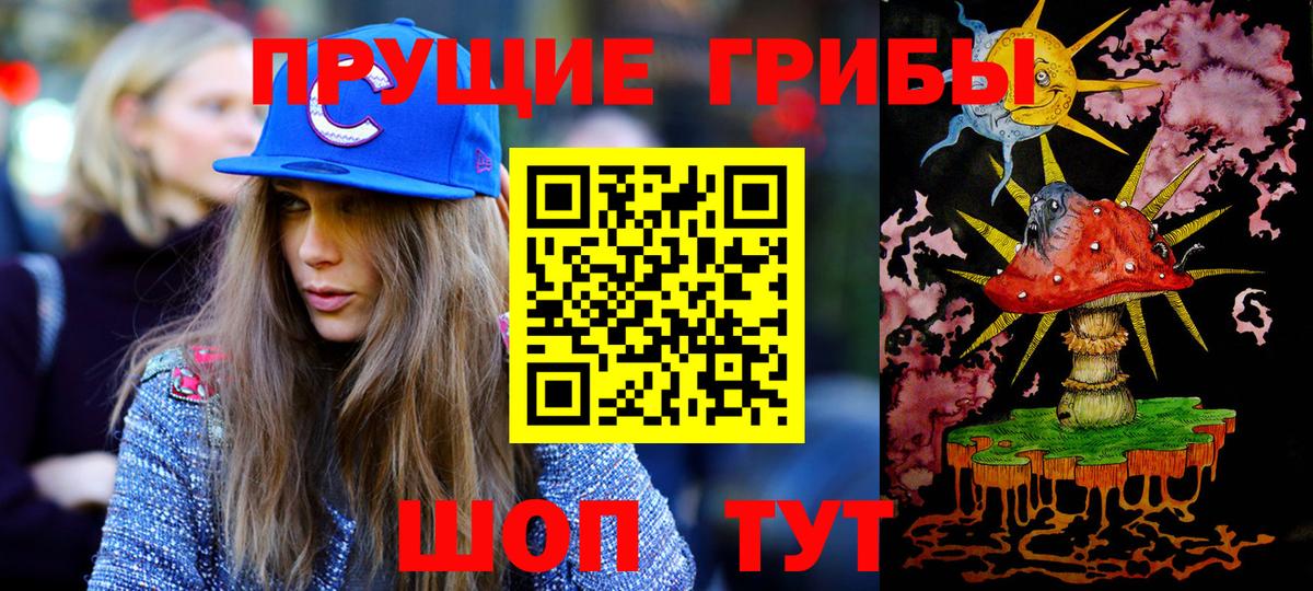Псилоцибиновые грибы Psilocybe  Вход с VPN  Котлас 
