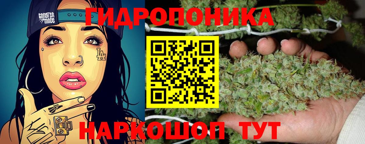 Бошки марихуана семена Котлас